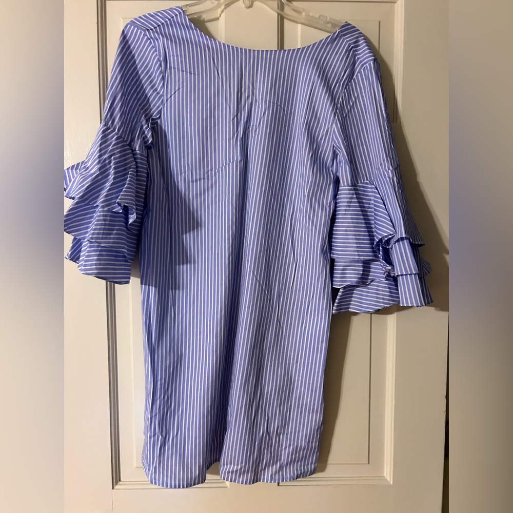 Zara Blue Ruffle Sleeve Mini Dress